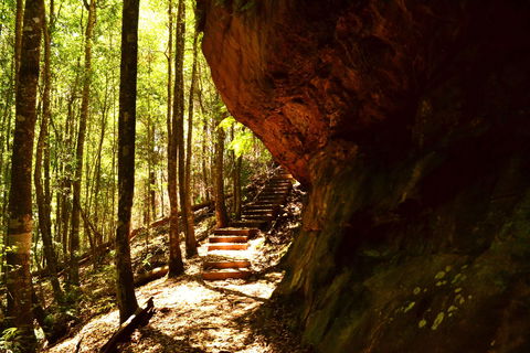 Cave Creek Walking Track - Accommodation Nelson Bay 1