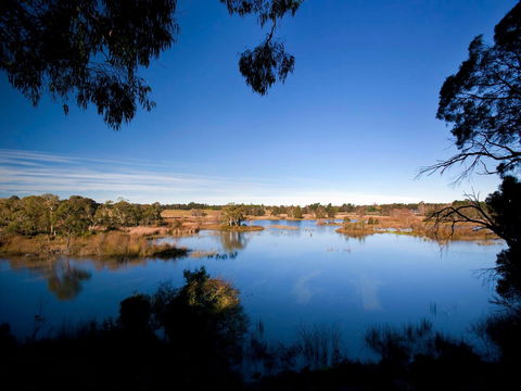 Cecil Hoskins Nature Reserve - Accommodation Nelson Bay 0