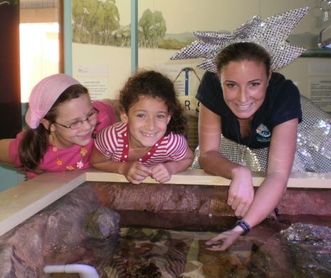 Central Coast Marine Discovery Centre - Accommodation Nelson Bay 0