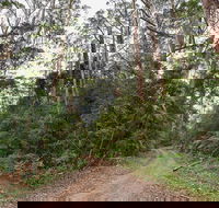 End Peak walking track - Accommodation Nelson Bay