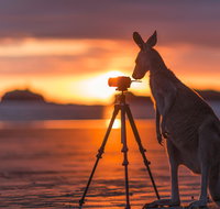 Explore the Mackay Region in Three Days - Accommodation Nelson Bay
