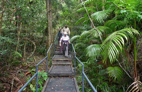 Falls Walking Track - Accommodation Nelson Bay 0
