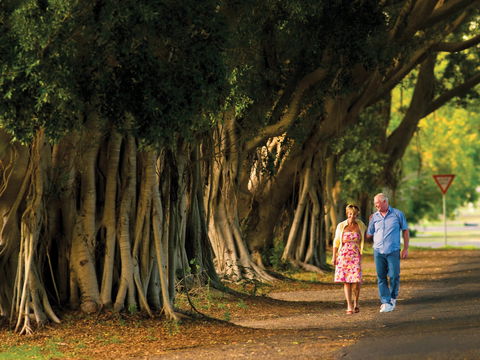 Fig Tree Avenue - Accommodation Nelson Bay 1