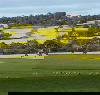 Fini Olives - Accommodation Nelson Bay