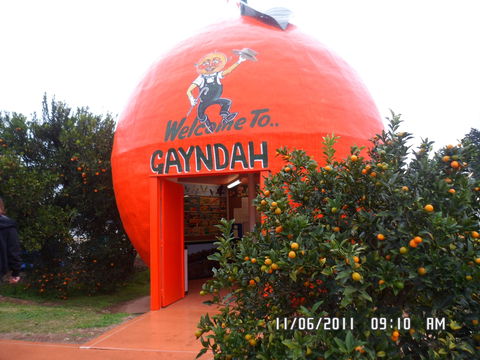 Gayndah's Big Orange - Accommodation Nelson Bay 2