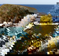 Green Island Walking Track - Accommodation Nelson Bay