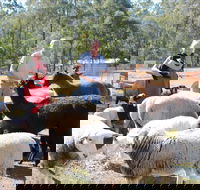 Haigslea EWE Nique Hobby Farm - Accommodation Nelson Bay