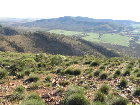 Horseshoe Rim 4WD Adventure Track - Accommodation Nelson Bay 0