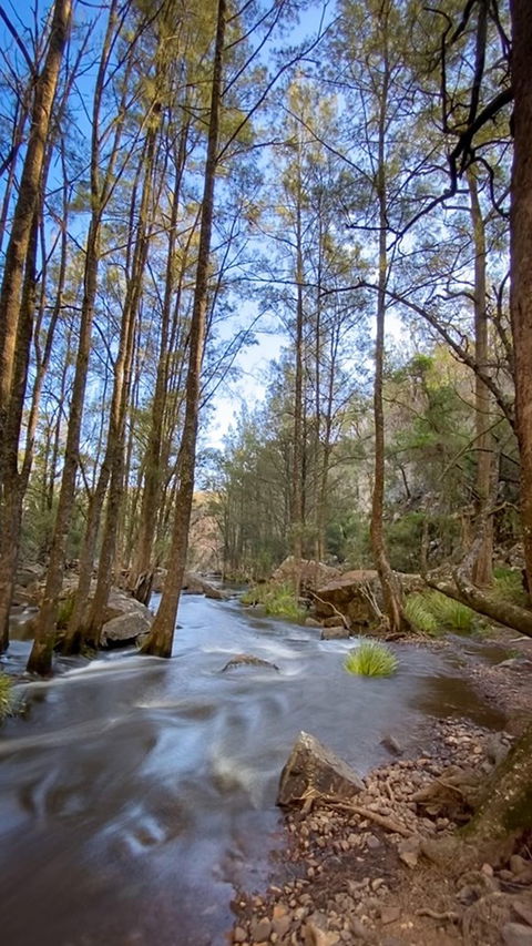 Horton Falls And Walks - Accommodation Nelson Bay 2