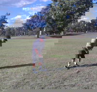 Inverell Golf Club - Accommodation Nelson Bay