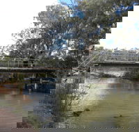 Junction Island Nature Reserve Canoe Tree and Walking Track - Accommodation Nelson Bay