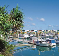 Keppel Bay Fishing Adventure - Accommodation Nelson Bay