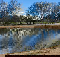 Lake King Wetlands at Rutherglen - Accommodation Nelson Bay