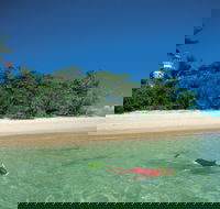 Low Isles - Accommodation Nelson Bay