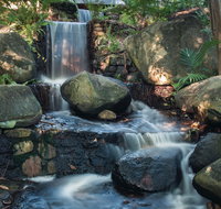 Mackay Regional Botanic Gardens - Accommodation Nelson Bay