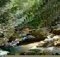 Maleny - Accommodation Nelson Bay