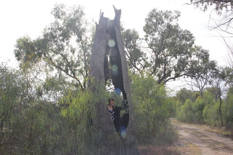 Martin Bend Wetland And Walking Trail - Accommodation Nelson Bay 1