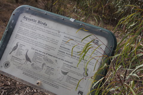 Martin Bend Wetland And Walking Trail - Accommodation Nelson Bay 2