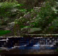 Millards Creek Walk and Cycleway - Accommodation Nelson Bay