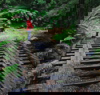 Montezuma Falls - Accommodation Nelson Bay