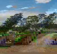Moorebank Vineyard - Accommodation Nelson Bay