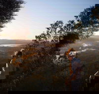 Mount Arthur Reserve - Accommodation Nelson Bay