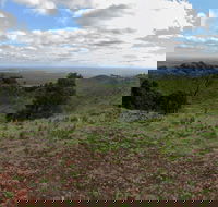 Mount Napier State Park - Accommodation Nelson Bay