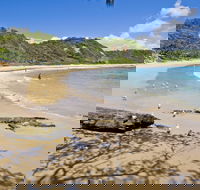 Nambucca Heads Beaches - Accommodation Nelson Bay