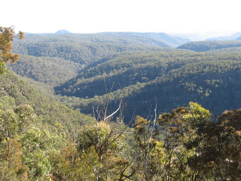 Nattai Gorge Lookout - Accommodation Nelson Bay 1