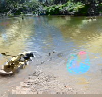 Neurum Creek Campgrounds - Accommodation Nelson Bay