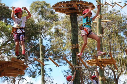 Next Level Monkey Business - Accommodation Nelson Bay 0