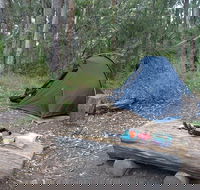 Northbrook Mountain Bush Camp - Accommodation Nelson Bay
