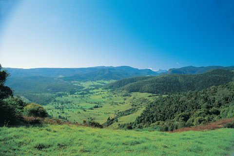 Numinbah Section, Springbrook National Park - Accommodation Nelson Bay 0