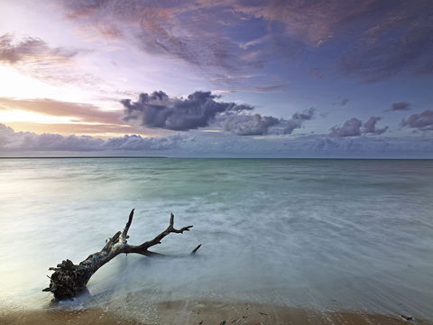 Paul Arnold Gallery - Accommodation Nelson Bay 1