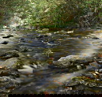 Plateau Circuit Loop Trail - Accommodation Nelson Bay