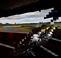Reed Beds Bird Hide Boardwalk - Accommodation Nelson Bay