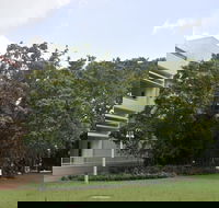 State Square Banyan Tree - Accommodation Nelson Bay