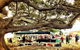 Stansbury Seaside Markets - thumb 1
