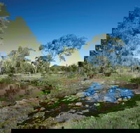 Sunset Track - Accommodation Nelson Bay