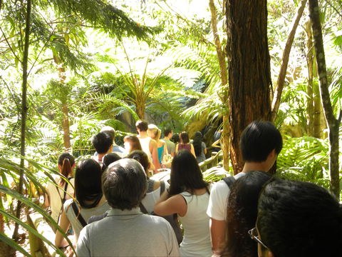 Tamborine Mountain Glow Worm Tours - Accommodation Nelson Bay 1
