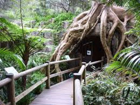 Tamborine Mountain Glow Worm Tours - Accommodation Nelson Bay 2