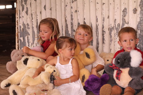 Tambo Teddies - Accommodation Nelson Bay 0