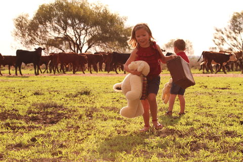 Tambo Teddies - Accommodation Nelson Bay 1