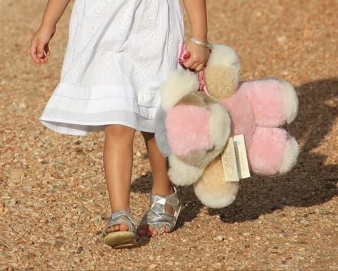 Tambo Teddies - Accommodation Nelson Bay 2
