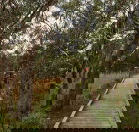 The Briars Park Walking Trails - Accommodation Nelson Bay