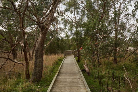 The Briars Park Walking Trails - Accommodation Nelson Bay 0