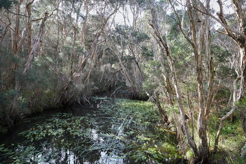 The Briars Park Walking Trails - Accommodation Nelson Bay 2