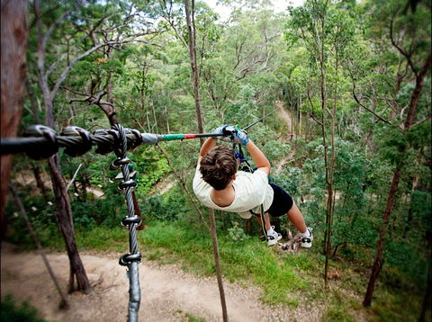 TreeTop Challenge - Accommodation Nelson Bay 0