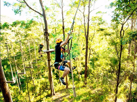 TreeTop Challenge - Accommodation Nelson Bay 1