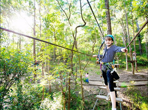 TreeTop Challenge - Accommodation Nelson Bay 2